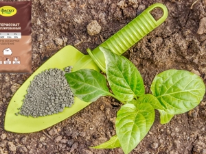  What fertilizer is better to use for potatoes?