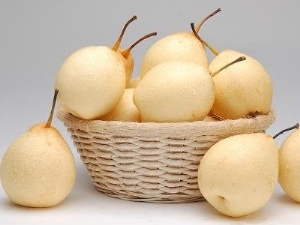  Chinese pear: the benefits and harm, calorie