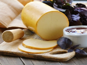  Sausage cheese: the benefits and harm, composition and characteristics of use