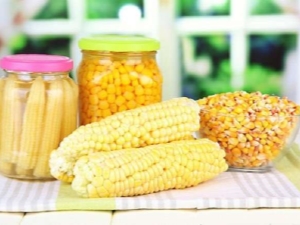  Canned corn: good, harm and recipes for winter