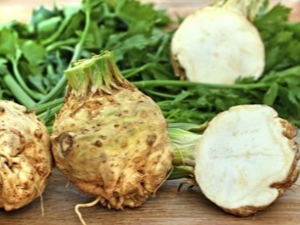  Celery root: the benefits and harm, recipes for delicious dishes