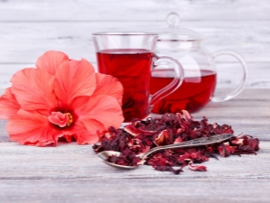  Is it possible to drink hibiscus tea during pregnancy: benefit and harm, dosage