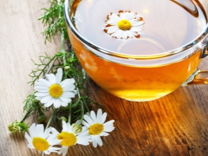  Can I drink chamomile tea during pregnancy?