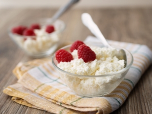  Fat-free cottage cheese: the benefits and harm, nutritional and energy value