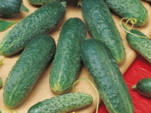 Cucumbers 