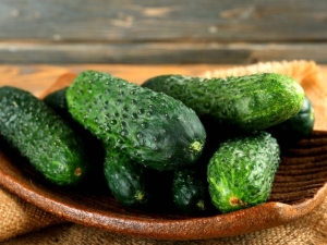  Cucumber Harmonist F1: features of the variety and cultivation