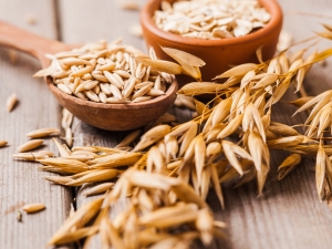  Oats for cleansing the body: the benefits and harm, scrub recipes and use