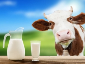  Pasteurized milk: what it is and how to store it, the benefits and harm of the product