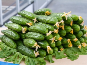  Why do leaves of cucumbers wither in a greenhouse and what to do about it?