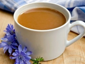  Soluble chicory: the benefits and harm, how many times a day can you drink it?