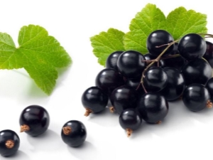  Recipes blanks for the winter of black currant