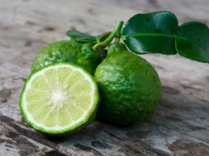  Bergamot: the benefits and harm, especially the use