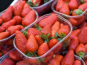  Bezusaya Strawberry: Varieties and Cultivation Recommendations