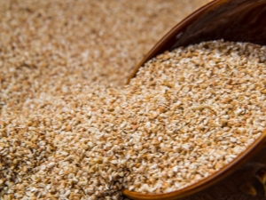  Buckwheat split: definition and properties, cooking recipes