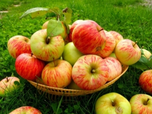  Storing apples: how and where to keep fresh fruit at home?