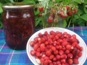  How to make harvesting of woodland strawberries for the winter?