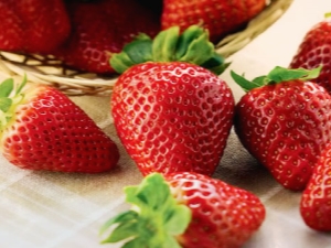  What strawberry varieties to choose for growing in Siberia?