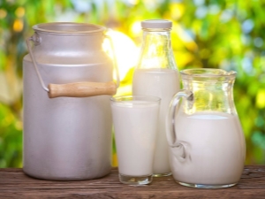  What types of milk are there and which is better to choose?