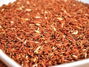  Calorie and composition of brown rice