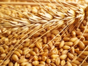  Wheat classification and parameters for determining grain quality