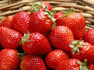  Strawberry Darenka: characteristic varieties and cultivation