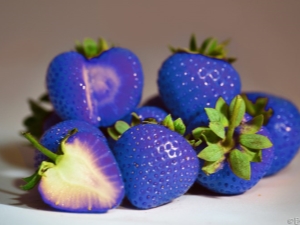  Strawberry blue - myth or reality?