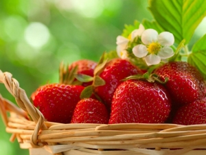  The best green mans for strawberries