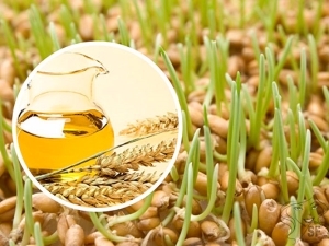  Wheat germ oil in cosmetology: the benefits and harms, properties and application tips