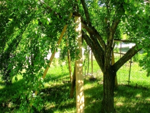  Supports for apple trees: how to make yourself, protecting the tree from faults, and the harvest - from death?