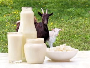  The benefits and harm of goat milk for the elderly and rules of use