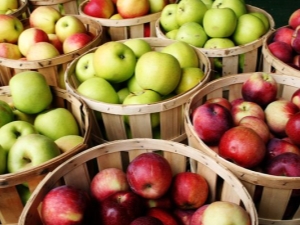  Early varieties of apples: advantages and disadvantages, description and advice on choosing