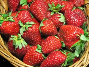  Strawberry varieties for the Moscow region and their cultivation