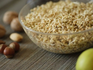  How to sprout green buckwheat?