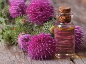  Thistle oil: features and application