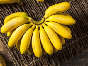  Mini-bananas: how do they differ from big ones and how much more useful is it?