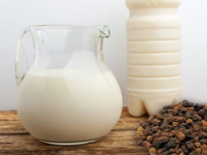  Milk Propolis: Properties, Application Tips, and Recipes