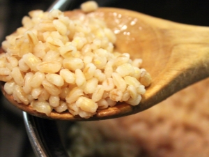  Proportions of water and cereals for cooking barley porridge