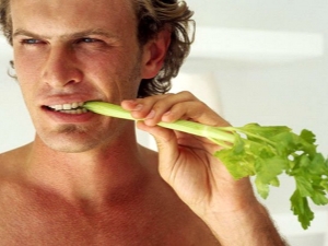  Celery: good and bad for men, tips on eating