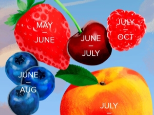 Seasonal calendar of fruit by month