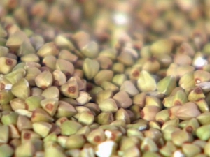  Green buckwheat: composition, glycemic index and caloric content