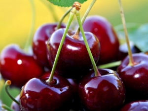  Cherry in diabetes mellitus type 2: is it possible to use and what are the limitations?