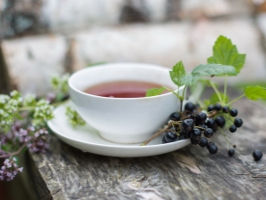  Black currant leaves: medicinal properties and contraindications