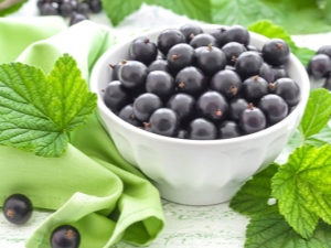  The benefits and harms of black currant during pregnancy