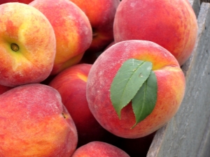  How much does a peach weigh?