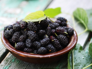  Properties of dried mulberries and tips on their use