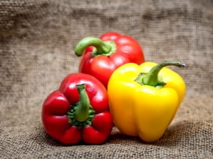  Calorie, properties and composition of Bulgarian red pepper