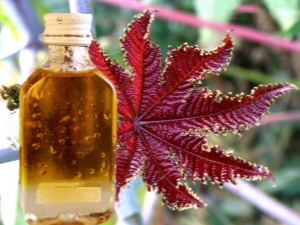  Features of castor oil for weight loss