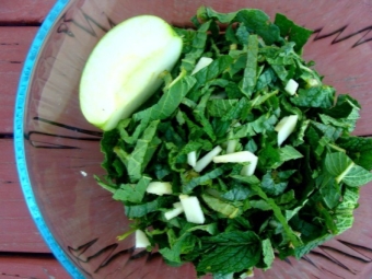  Fruit Salad with Comfrey