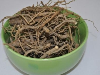  Decoction of the roots of wormwood