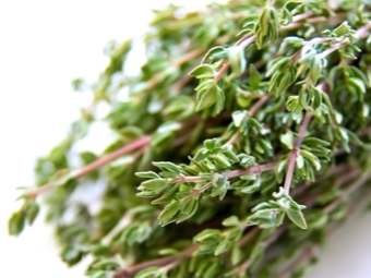  Thyme